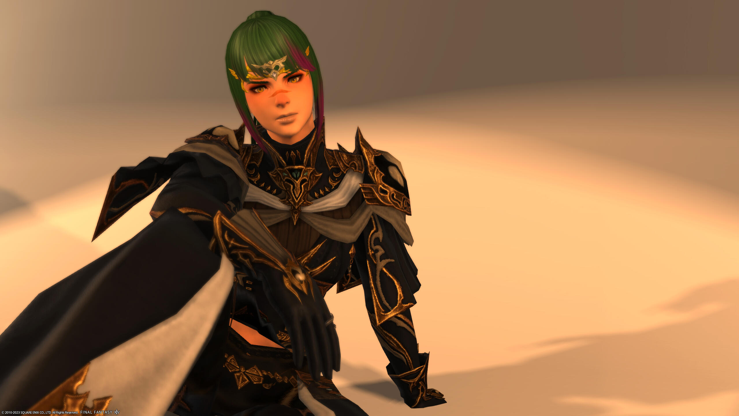 I am once again telling you this armor looks great on Highlanders.