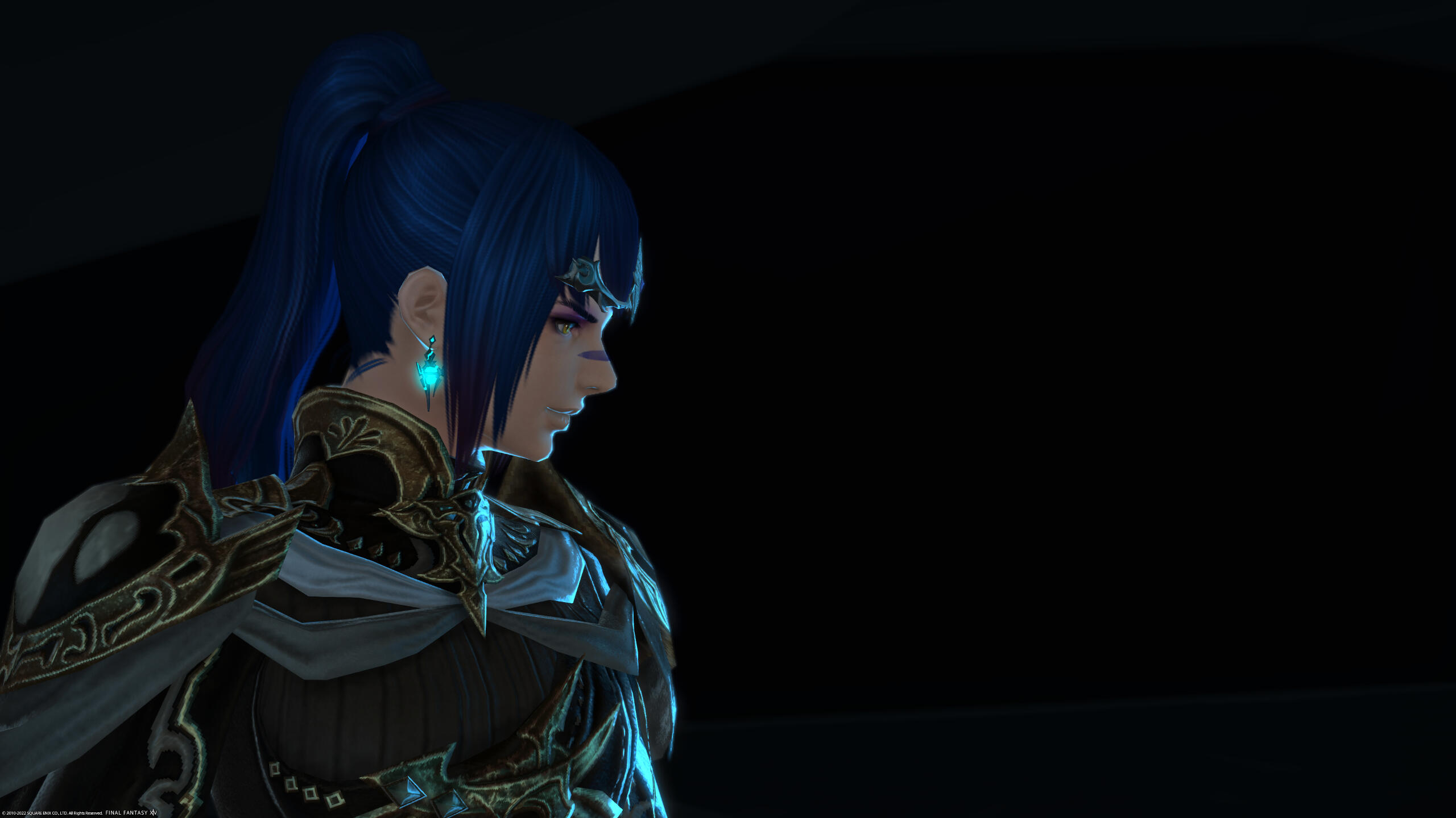 Another personal favorite. The Lunar Envoy armor is great.